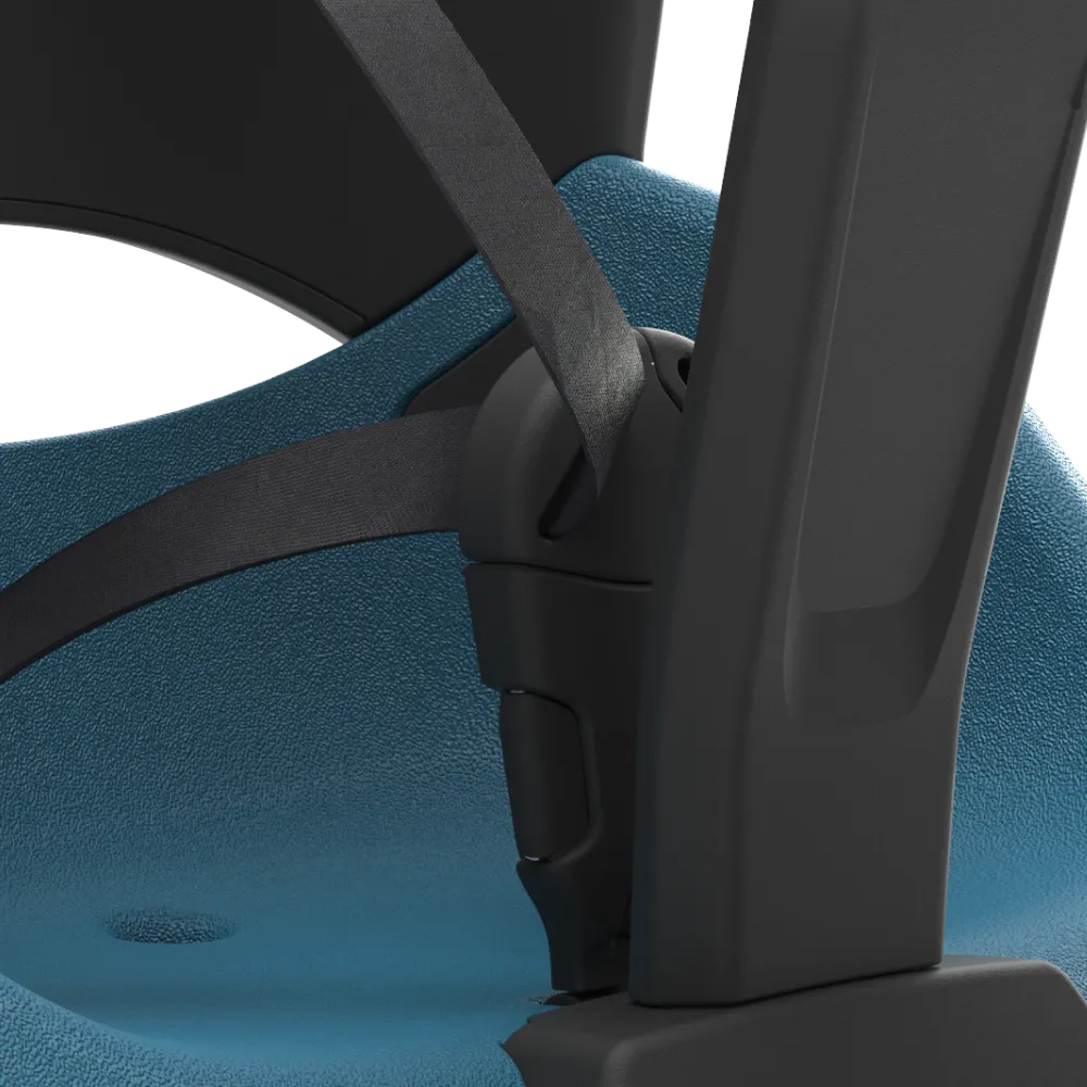 5-point harness 5-point harness